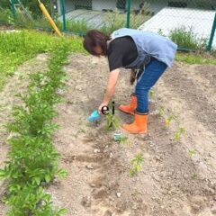 2022年4月1日_家庭菜園｜熊本県人吉市宿泊ハウスユーユー