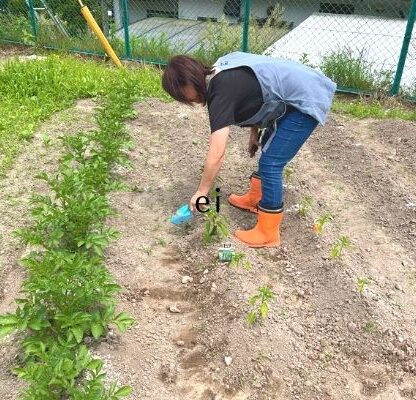 2022年4月1日_家庭菜園｜熊本県人吉市宿泊ハウスユーユー