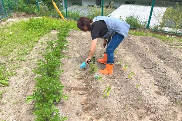 2022年4月1日_家庭菜園｜熊本県人吉市宿泊ハウスユーユー